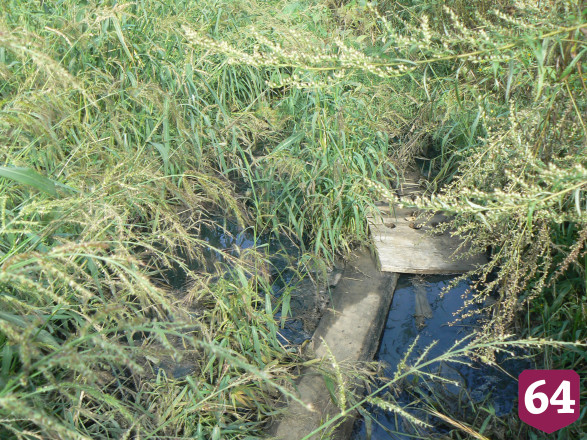 В Саратове канализационные воды попали в реку