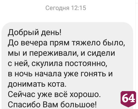 Саратовские ветеринары спасли собаку с алкогольным отравлением