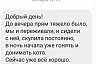 Саратовские ветеринары спасли собаку с алкогольным отравлением