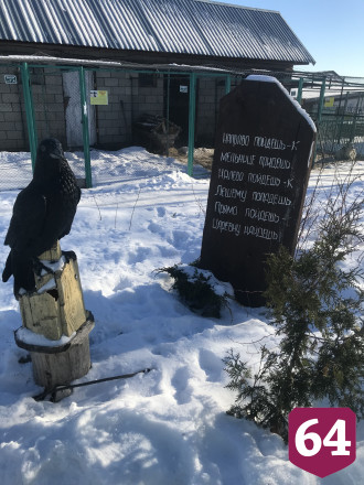 В саратовском парке медведь спит зимой под одеялами