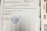 В Саратове после падения собаки с 5-го этажа возбуждено уголовное дело