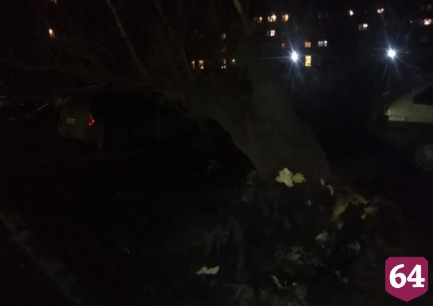 На Беговой дерево упало на внедорожник 