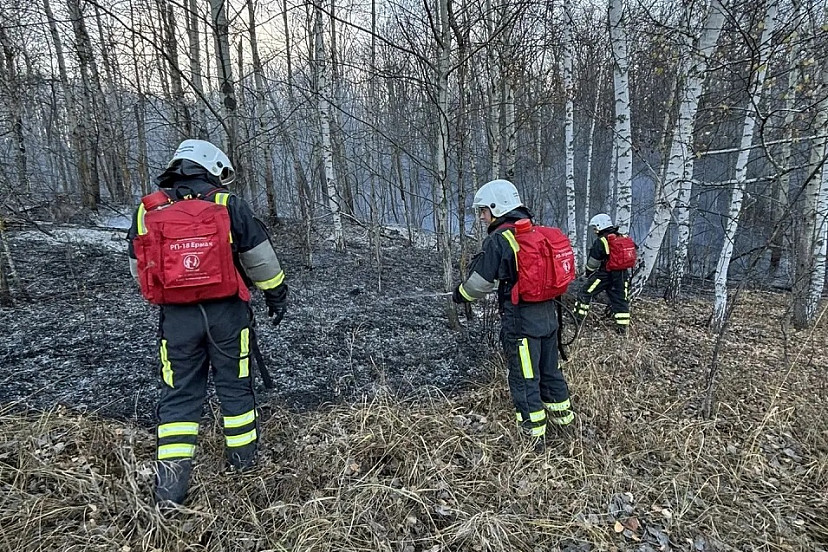 У села Лох стабилизировали лесопожарную обстановку 
