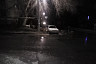 В Саратове стая голодных собак роется в мусорках и нападает на людей
