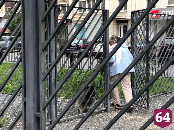 Жители Саратова проводят вечер на прогулках без масок