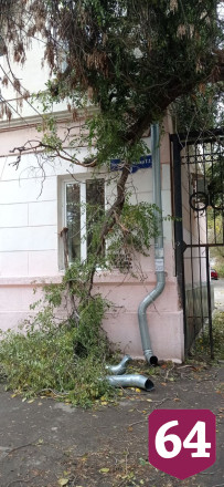В Саратове упавшее на дом дерево повисло над тротуаром