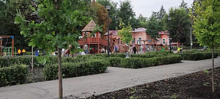 В городском парке Саратова высадят свыше 100 молодых дубов