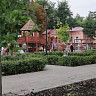В городском парке Саратова высадят свыше 100 молодых дубов