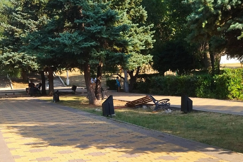 Сквер Саратова назвали «территорией заброшенности»