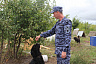 Саратовские кинологи приехали с мясом к собакам из приюта