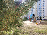 Саратовцев ждет теплый день без дождей 