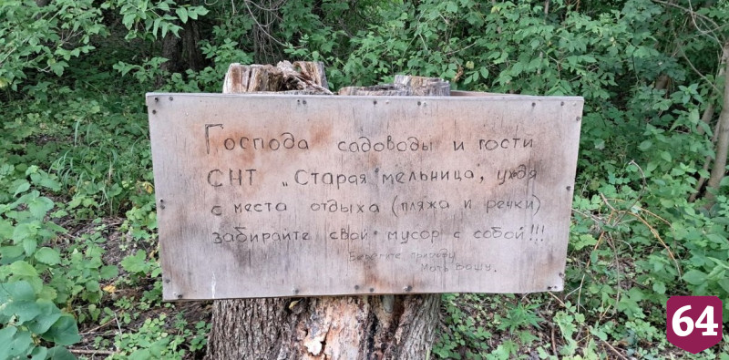 В дачном поселке под Саратовом бесплатно раздают участки