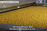 На производстве макарон под Саратовом создадут новые рабочие места