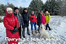 Саратовцев позвали погулять по лесу с «белым волком»