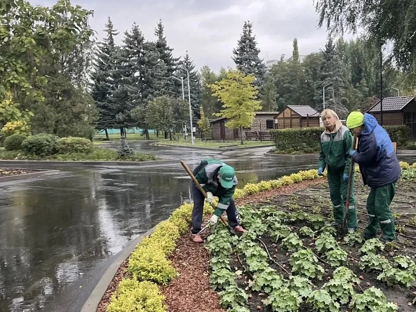 Горпарк Саратова украсят 5 тысяч тюльпанов