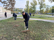Глава района присоединился к субботнику в Энгельсе