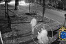 В Саратовской области на студентку завели дело о теракте за поджог полицейской машины