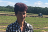 Под Саратовом лесные культуры удобряют овсом и ячменем