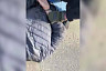 В Саратове пешеходов избили во время дорожного конфликта