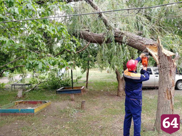 В Саратовской области ураган повалил 132 дерева