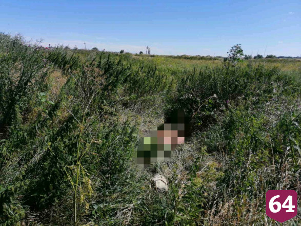 Пастух наткнулся на труп на окраине села
