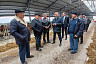 Саратовские аграрии развивают молочное животноводство с участием роботов
