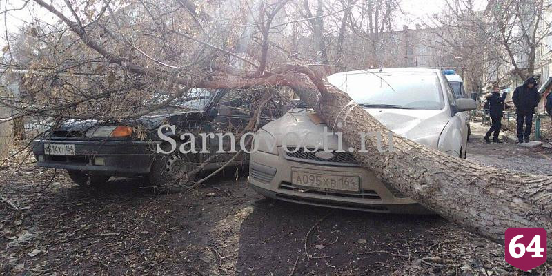На Беговой дерево упало на внедорожник 