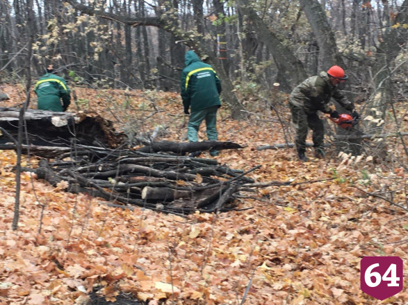 На Кумысной поляне благоустроят 25 родников