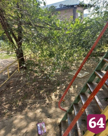 Жителей Саратова возмутили собачьи фекалии на детской площадке
