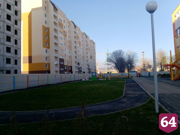 В Саратове стены нового детского сада декорировали натуральным мхом 