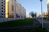 В Саратове стены нового детского сада декорировали натуральным мхом 