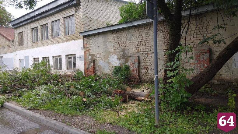В Саратове в грозу повалило 32 дерева 
