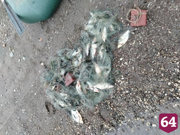 В Саратовской области браконьеры лишились улова и сетей 