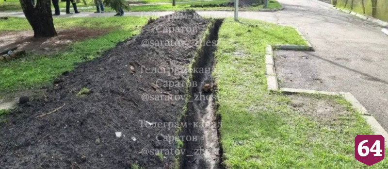 В горпарке Саратова раскопали человеческий череп