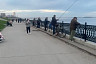 Саратовцы встали на защиту отпустившего судака в Волгу рыбака