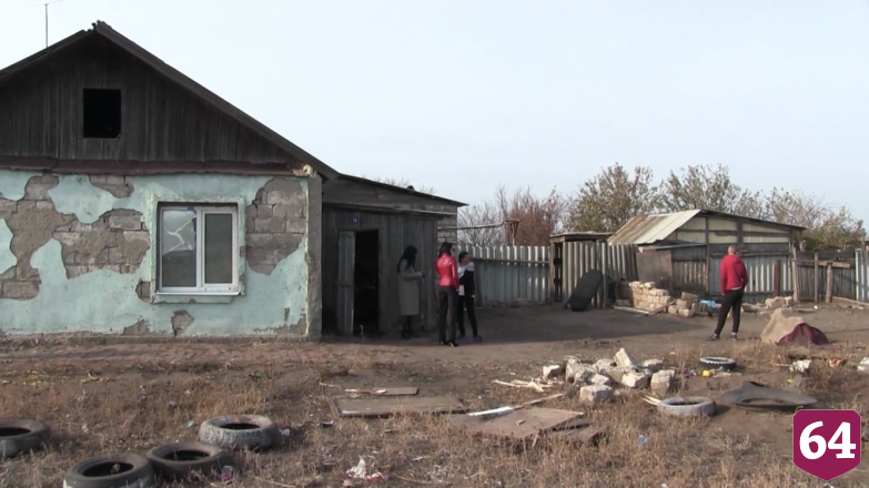 Под Саратовом раскрыли банду похитителей овец