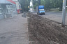 В Саратове незаконно спилили деревья ради парковки 