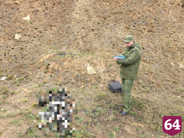 Грибники нашли кости пропавшей без вести пенсионерки