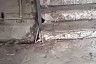 Подъезд саратовской многоэтажки атаковали тысячи комаров