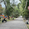В Саратове половина смертей от внешних факторов происходит в опьянении 