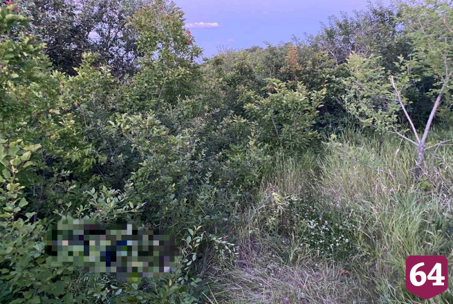 В Саратове задержан подозреваемый в убийстве мужчины на Соколовой горе 