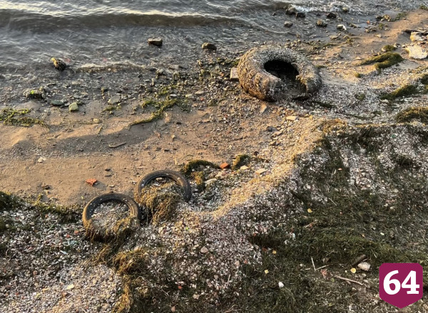 Саратовцы попросили очистить Волгу от мусора и водорослей