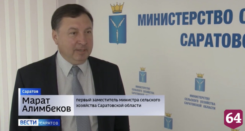 В Саратовской области собрали 550 тонн огурцов, кабачков и капусты