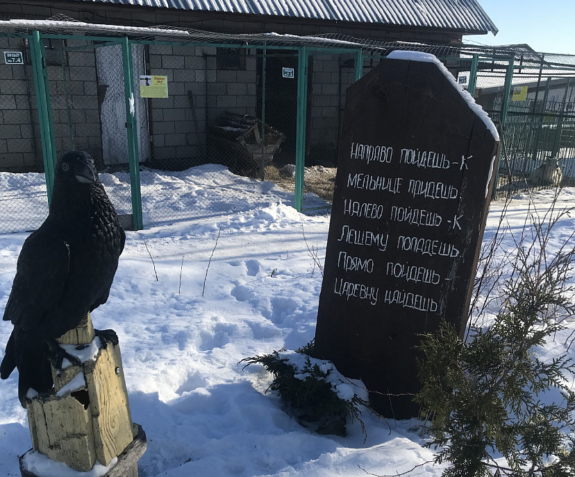 В саратовском парке медведь спит зимой под одеялами
