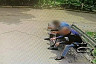 Саратовских пенсионеров предупредили о сомнительных продавцах «чудо-ампул»