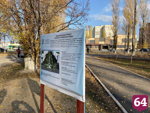 Радаев посоветовал разбить в балаковском сквере розарий 