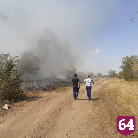 Под Саратовом полыхают заброшенные сады