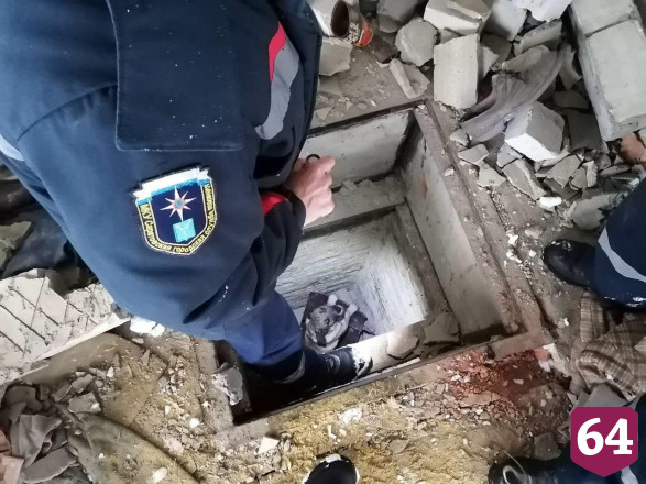 Саратовские спасатели вытащили собаку из заброшенного погреба