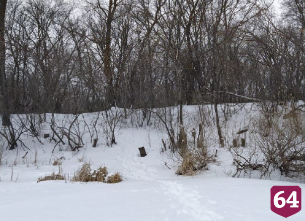 Саратовец нашел окоченевший труп пропавшего брата 