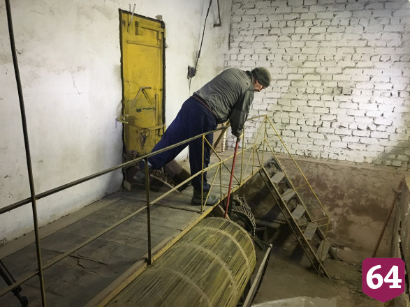 Под Саратовом сушат шишки для пополнения стратегического запаса семян
